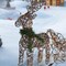 Warm White LED Reindeer with Sleigh, Sparkling Outdoor Christmas Decor